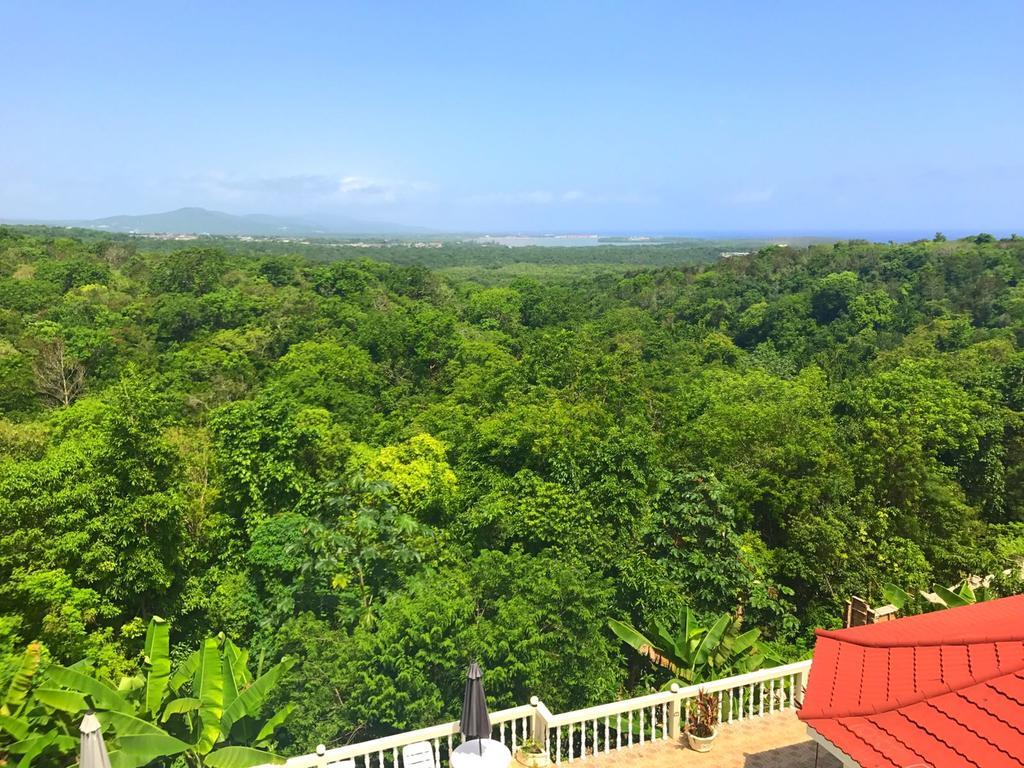 Superior Double or Twin Room with Sea View